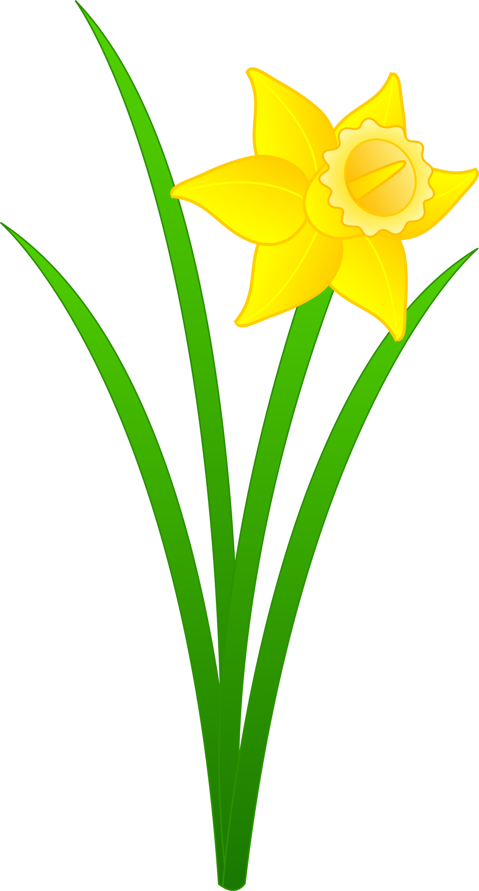 clipart daffodil flower - photo #7