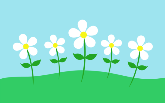 Cute Daisy Flowers Design