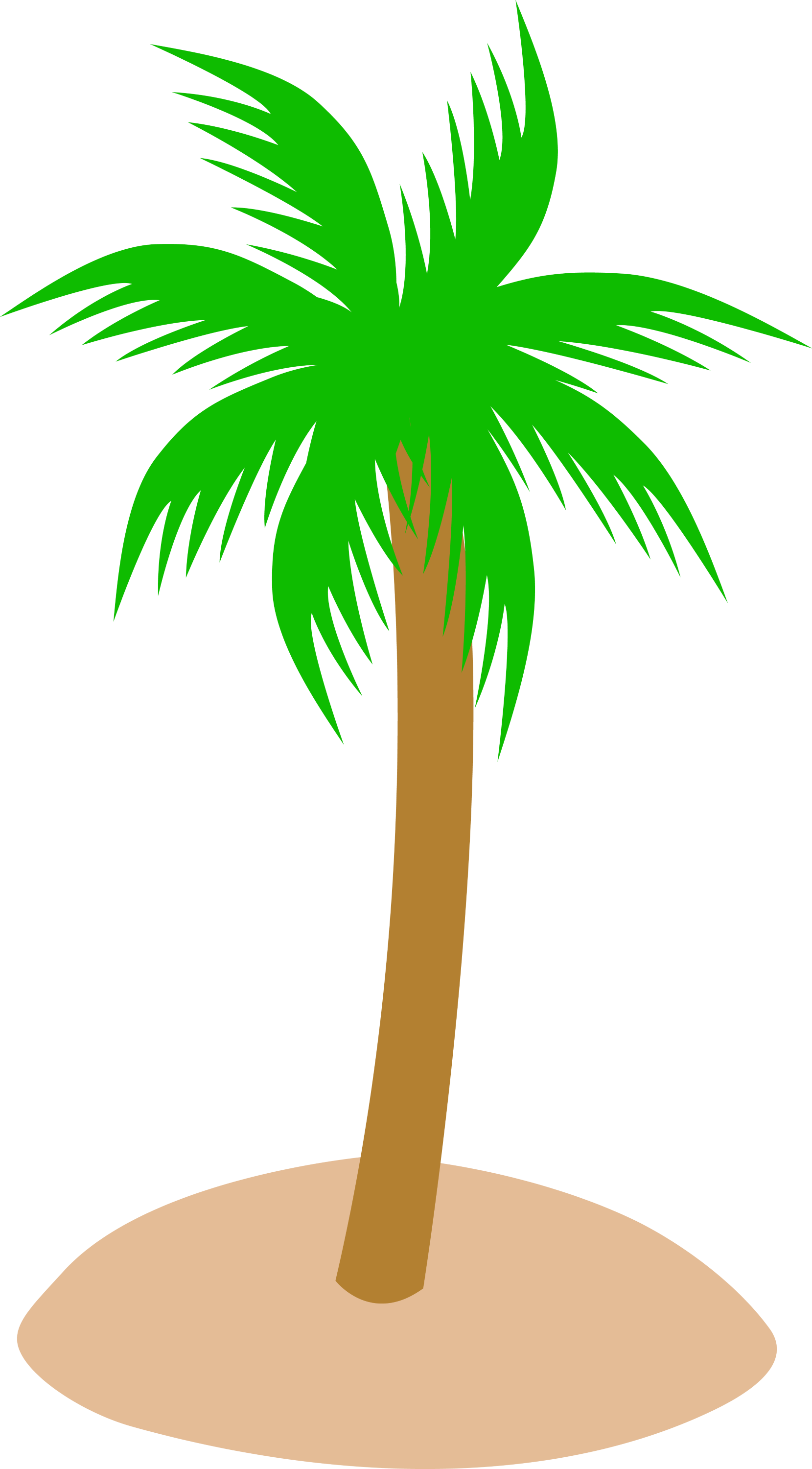 palm tree clip art - photo #19